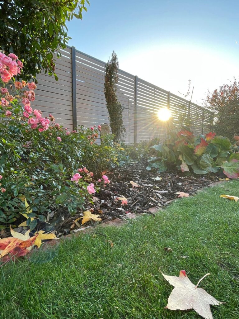 Bückeburg 2022 WPC Sichtschutz